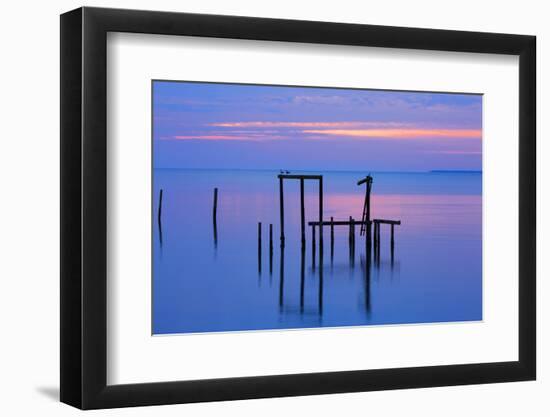 USA, Florida. Apalachicola, Remains of an old dock at sunrise.-Joanne Wells-Framed Photographic Print