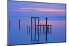 USA, Florida. Apalachicola, Remains of an old dock at sunrise.-Joanne Wells-Mounted Photographic Print