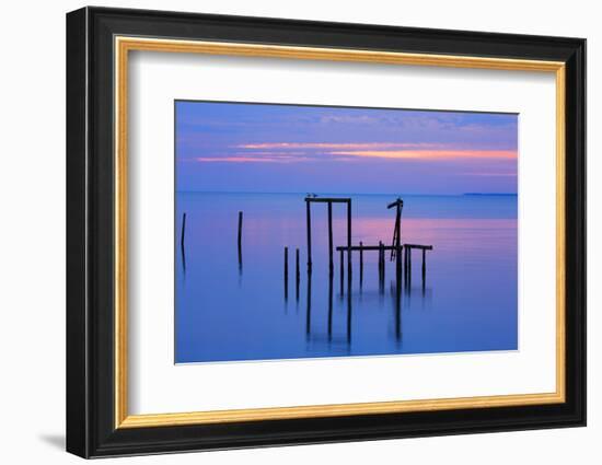 USA, Florida. Apalachicola, Remains of an old dock at sunrise.-Joanne Wells-Framed Photographic Print