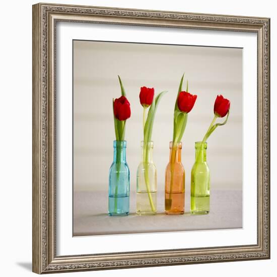 USA, Florida, Celebration, Tulips-Hollice Looney-Framed Photographic Print