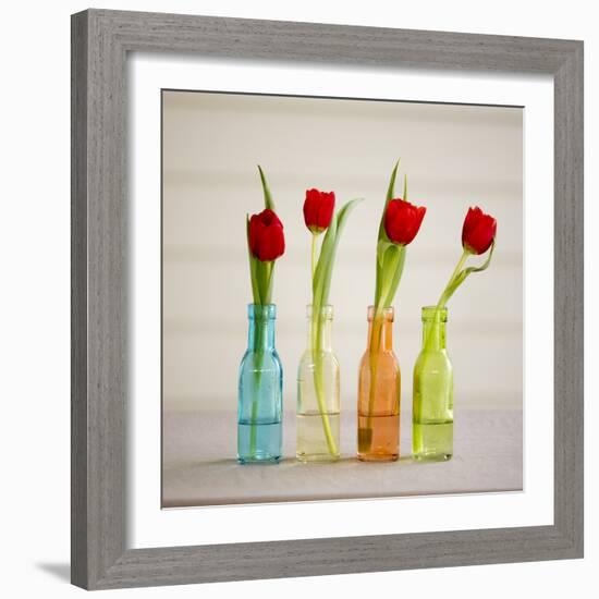 USA, Florida, Celebration, Tulips-Hollice Looney-Framed Photographic Print