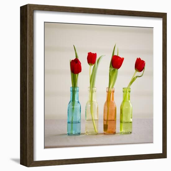 USA, Florida, Celebration, Tulips-Hollice Looney-Framed Photographic Print