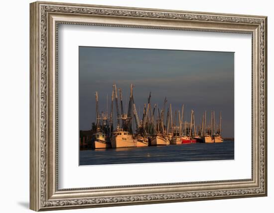 USA, Florida, Darien, Shrimp Boats Docked at Darien Ga-Joanne Wells-Framed Photographic Print