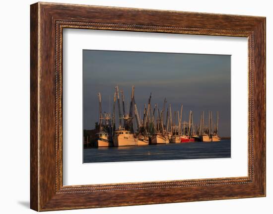 USA, Florida, Darien, Shrimp Boats Docked at Darien Ga-Joanne Wells-Framed Photographic Print