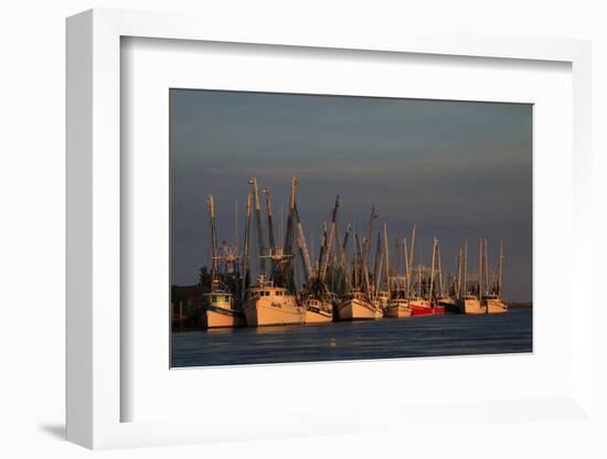 USA, Florida, Darien, Shrimp Boats Docked at Darien Ga-Joanne Wells-Framed Photographic Print