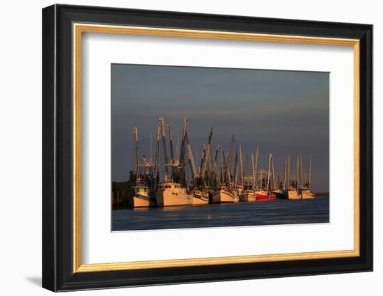 USA, Florida, Darien, Shrimp Boats Docked at Darien Ga-Joanne Wells-Framed Photographic Print