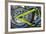 USA, Florida, Daytona Beach, customized bike, bike week.-Jim Engelbrecht-Framed Photographic Print