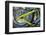 USA, Florida, Daytona Beach, customized bike, bike week.-Jim Engelbrecht-Framed Photographic Print