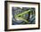 USA, Florida, Daytona Beach, customized bike, bike week.-Jim Engelbrecht-Framed Photographic Print