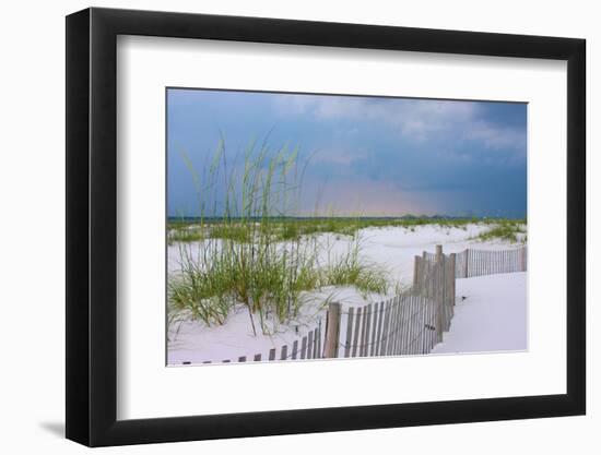 USA, Florida. Dunes and grasses on Santa Rosa island beach.-Anna Miller-Framed Photographic Print