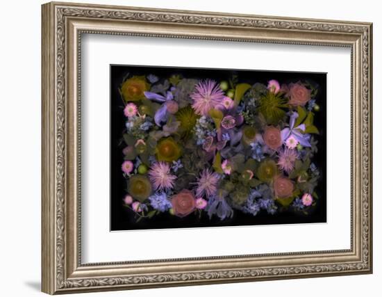 USA, Florida. Floral bounty-Hollice Looney-Framed Photographic Print
