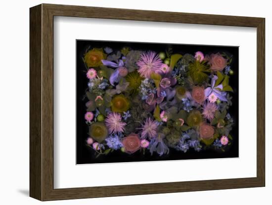 USA, Florida. Floral bounty-Hollice Looney-Framed Photographic Print