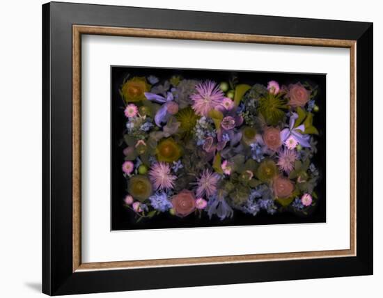 USA, Florida. Floral bounty-Hollice Looney-Framed Photographic Print