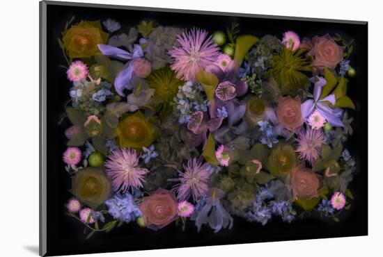 USA, Florida. Floral bounty-Hollice Looney-Mounted Photographic Print