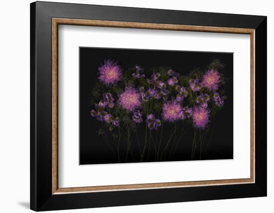 USA, Florida. Floral bounty-Hollice Looney-Framed Photographic Print