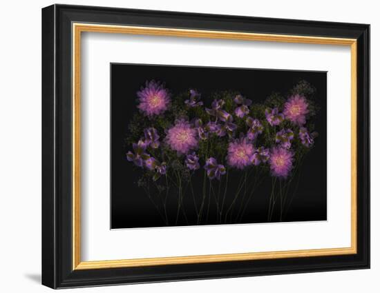 USA, Florida. Floral bounty-Hollice Looney-Framed Photographic Print