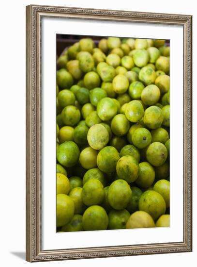 USA, Florida, Homestead, Florida Key Limes-Walter Bibikow-Framed Photographic Print