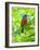 USA, Florida, Immokalee, Painted Bunting-Bernard Friel-Framed Photographic Print