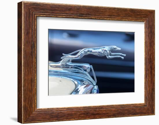 USA, Florida, New Smyrna Beach, classic car show, 1936 Ford hood ornament-Jim Engelbrecht-Framed Photographic Print