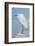 USA, Florida, New Smyrna Beach, Snowy Egret on dock.-Jim Engelbrecht-Framed Photographic Print