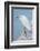 USA, Florida, New Smyrna Beach, Snowy Egret on dock.-Jim Engelbrecht-Framed Photographic Print