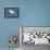 USA, Florida, New Smyrna Beach, Snowy Egret-Jim Engelbrecht-Framed Premier Image Canvas displayed on a wall
