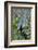 USA, Florida, Orange City, St. Johns River, Blue Spring Sp, Anhinga-Jim Engelbrecht-Framed Photographic Print