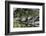 USA, Florida, Orange City, St. Johns River, Blue Spring SP, turtles.-Jim Engelbrecht-Framed Photographic Print