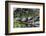 USA, Florida, Orange City, St. Johns River, Blue Spring SP, turtles.-Jim Engelbrecht-Framed Photographic Print