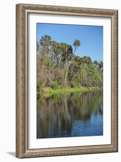 USA, Florida, Orange City, St. Johns River, Blue Spring State Park-Lisa S^ Engelbrecht-Framed Photographic Print