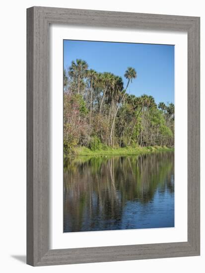 USA, Florida, Orange City, St. Johns River, Blue Spring State Park-Lisa S^ Engelbrecht-Framed Photographic Print