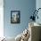 USA, Florida, Orlando. Great Egret at Gatorland.-Lisa S^ Engelbrecht-Framed Premier Image Canvas displayed on a wall
