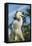 USA, Florida, Orlando. Great Egret at Gatorland.-Lisa S^ Engelbrecht-Framed Premier Image Canvas