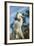 USA, Florida, Orlando. Great Egret at Gatorland.-Lisa S^ Engelbrecht-Framed Photographic Print