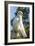 USA, Florida, Orlando, Great Egret, Gatorland-Lisa S. Engelbrecht-Framed Photographic Print