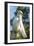 USA, Florida, Orlando, Great Egret, Gatorland-Lisa S. Engelbrecht-Framed Photographic Print