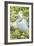USA, Florida, Orlando. Snowy Egret at Gatorland.-Jim Engelbrecht-Framed Photographic Print