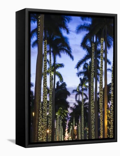 USA, Florida, Palm Beach, Palms on Royal Palm Way-Walter Bibikow-Framed Premier Image Canvas