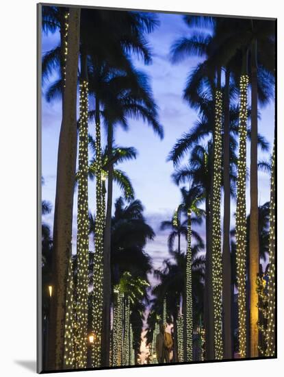 USA, Florida, Palm Beach, Palms on Royal Palm Way-Walter Bibikow-Mounted Photographic Print