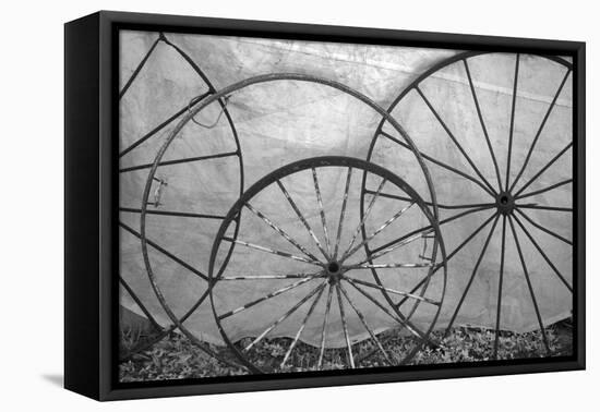 USA, Florida, Plant City, Old Metal Wagon Wheels-Connie Bransilver-Framed Premier Image Canvas