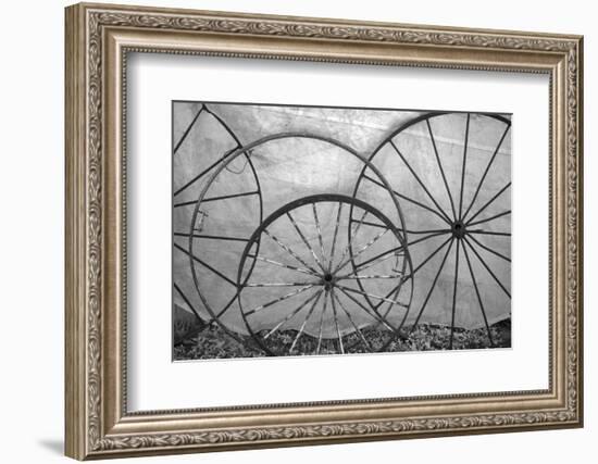 USA, Florida, Plant City, Old Metal Wagon Wheels-Connie Bransilver-Framed Photographic Print