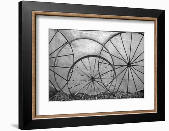 USA, Florida, Plant City, Old Metal Wagon Wheels-Connie Bransilver-Framed Photographic Print