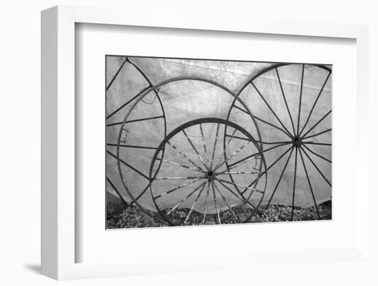 USA, Florida, Plant City, Old Metal Wagon Wheels-Connie Bransilver-Framed Photographic Print