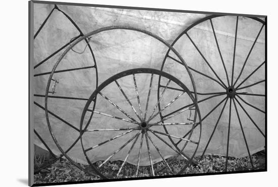 USA, Florida, Plant City, Old Metal Wagon Wheels-Connie Bransilver-Mounted Photographic Print