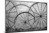 USA, Florida, Plant City, Old Metal Wagon Wheels-Connie Bransilver-Mounted Photographic Print