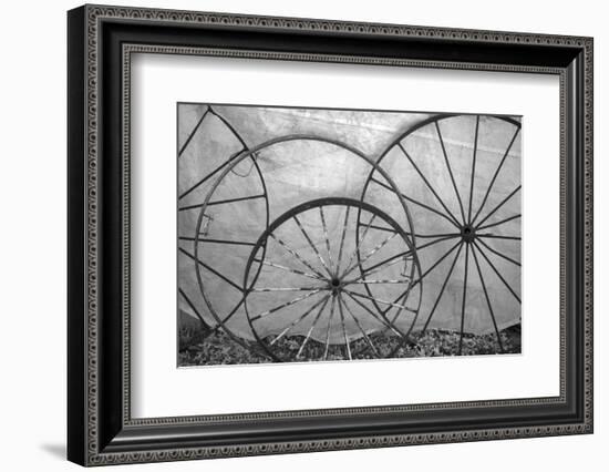 USA, Florida, Plant City, Old Metal Wagon Wheels-Connie Bransilver-Framed Photographic Print