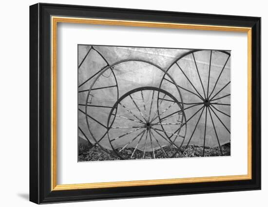 USA, Florida, Plant City, Old Metal Wagon Wheels-Connie Bransilver-Framed Photographic Print