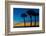 USA, Florida, Sarasota, Crescent Beach, Siesta Key. sunset and palm trees-Bernard Friel-Framed Photographic Print