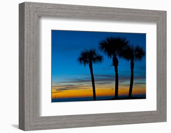 USA, Florida, Sarasota, Crescent Beach, Siesta Key. sunset and palm trees-Bernard Friel-Framed Photographic Print