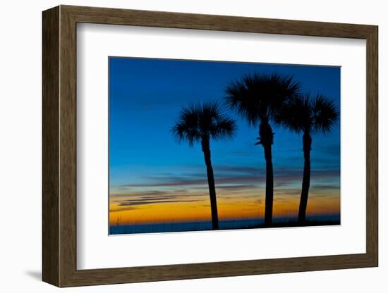 USA, Florida, Sarasota, Crescent Beach, Siesta Key. sunset and palm trees-Bernard Friel-Framed Photographic Print